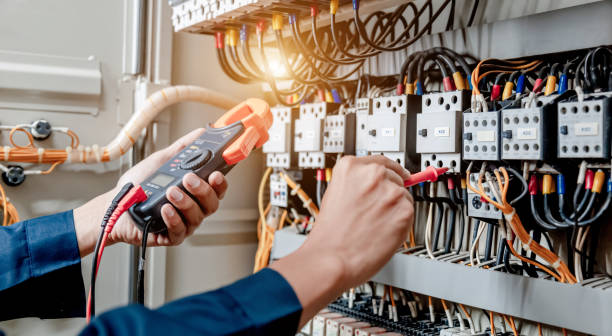 Best Home Electrical Repair  in Milton, WI